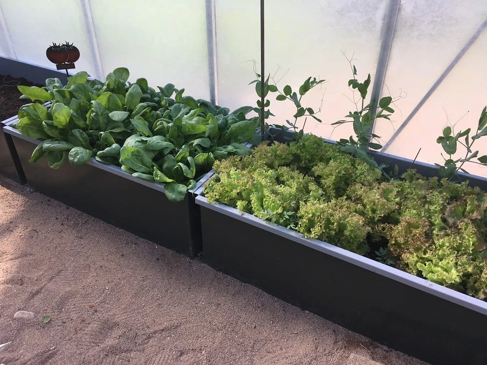 Odlingskrage i plåt - Bild 2