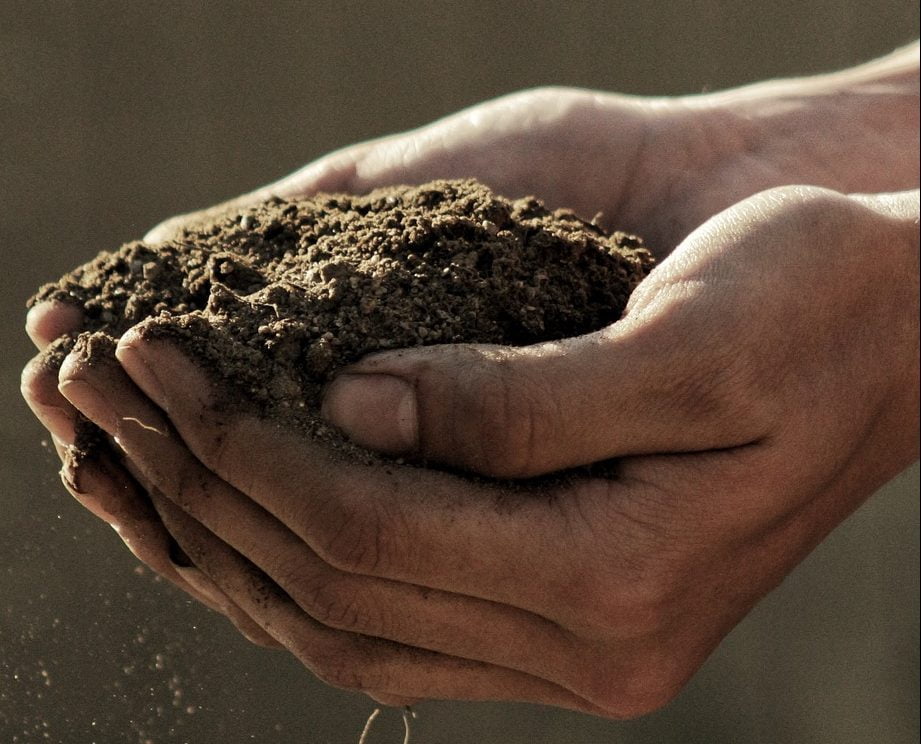 EMa - Tohtorin EM®a kotimainen mikrobiliuos 1 Litra