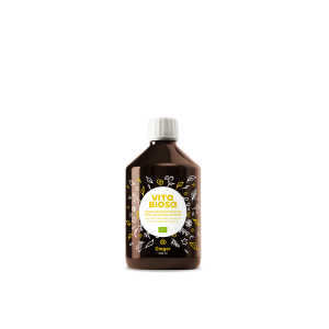 Vita Biosa Inkivääri - Fermentoitu maitohappojuoma (500ml)