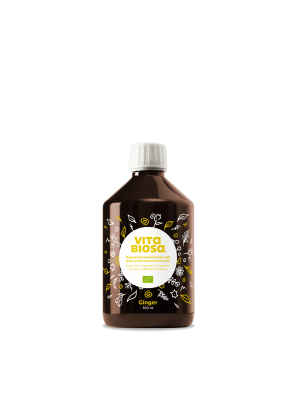 Vita Biosa Ingefära - ekologisk fermenterad dryck (500ml)