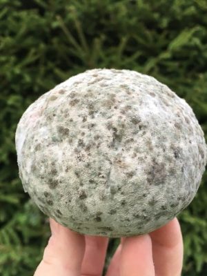 images EM-Dangos "Mutapallo" Viidakkotohtorin valmistama