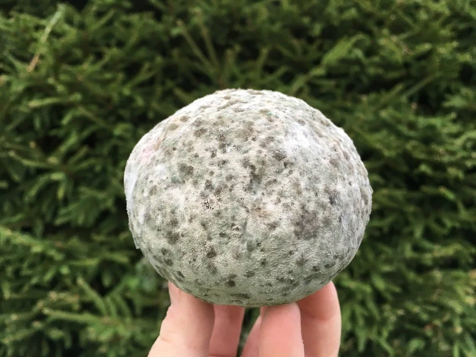 EM-Dangos "Mutapallo" Viidakkotohtorin valmistama