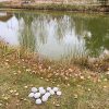 EM-Dangos lerboll